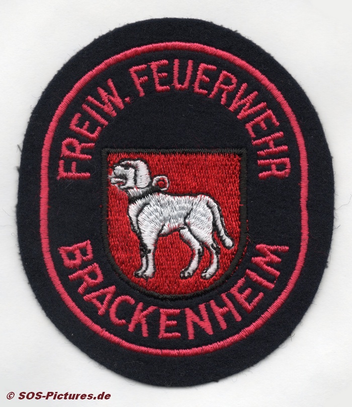 FF Brackenheim