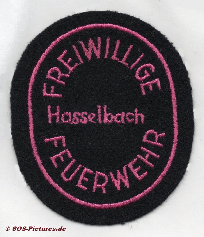FF Sinsheim Abt. Hasselbach alt
