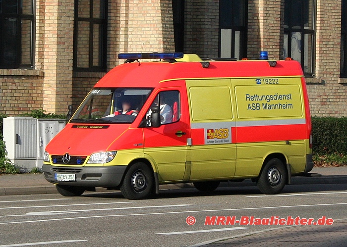 MA-EY 356