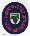 FF Elztal Abt. Auerbach