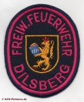 FF Neckargemünd Abt. Dilsberg