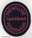 FF Spechbach alt