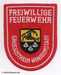 FF Großostheim - Wenigumstadt