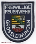 FF Sangerhausen - Grossleinungen