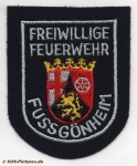 FF Fußgönheim