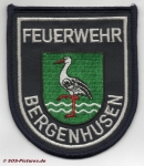 FF Bergenhusen