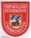 FF Cham-Chammünster
