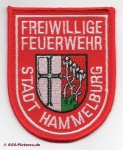 FF Hammelburg