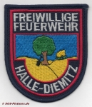 FF Halle - Diemitz