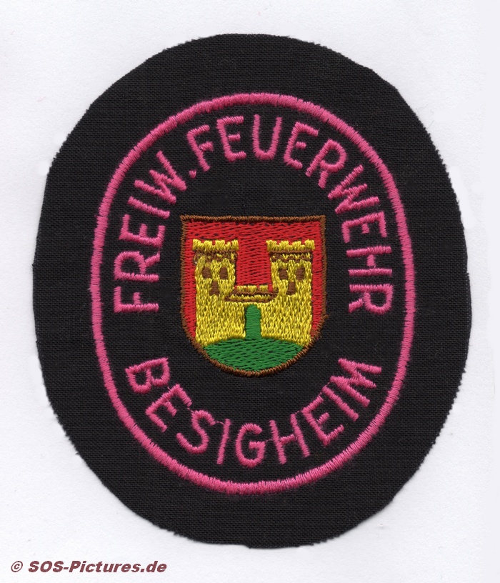 FF Besigheim alt