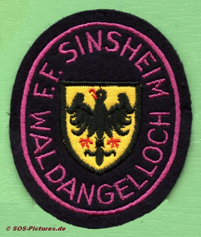 FF Sinsheim Abt. Waldangelloch