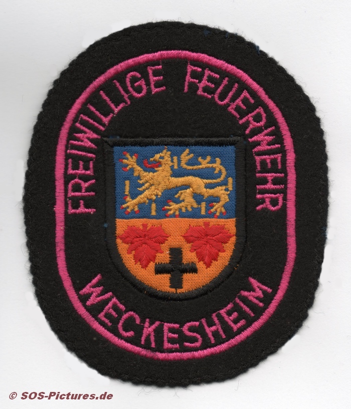 FF Reichelsheim (Wetterau) - Weckesheim