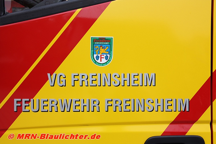 Florian Freinsheim 33