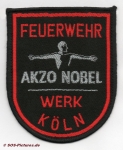 BtFw Akzo Nobel Köln