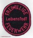 FF Adelsheim Abt. Leibenstadt alt