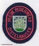 FF Tauberbischofsheim Abt. Distelhausen
