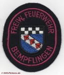 FF Bempflingen