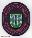 FF Gemmrigheim