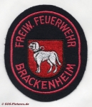 FF Brackenheim