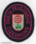 FF Cleebronn