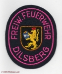 FF Neckargemünd Abt. Dilsberg