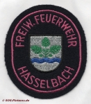 FF Sinsheim Abt. Hasselbach alt