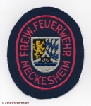 FF Meckesheim