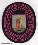 FF Neckarbischofsheim alt