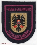FF Neckargemünd