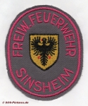 FF Sinsheim alt