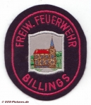 FF Fischbachtal - Billings