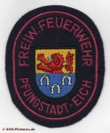 FF Pfungstadt - Eich