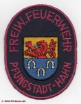 FF Pfungstadt - Hahn