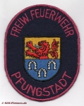 FF Pfungstadt