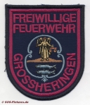 FF Grossheringen
