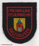 FF Salzhausen