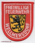 FF Neustadt b.Co. - Wellmersdorf