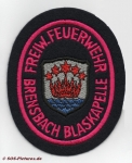 FF Brensbach Blaskapelle