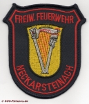 FF Neckarsteinach