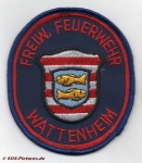 FF Biblis - Wattenheim