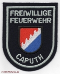 FF Schwielowsee - Caputh alt