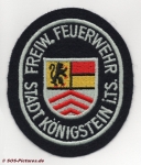 FF Königstein i.Ts.