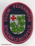 FF Schenklengsfeld