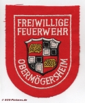 FF Wassertrüdingen - Obermögersheim