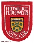 FF Güster