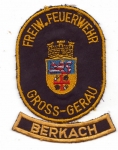 FF Gross-Gerau - Berkach