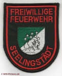 FF Trebsen-Seelingstädt