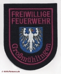 FF Bördeland - Großmühlingen