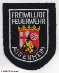 FF Hochdorf-Assenheim OT Assenheim (ehem.)