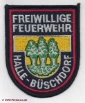 FF Halle - Büschdorf